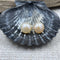 Freshwater Pearl Button Earrings - AAA Quality Earrings