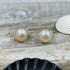 Freshwater Pearl Button Earrings - AAA Quality Earrings