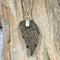 Zirconium and Silver Coated Druzy Leaf on 14K Box Chain Necklaces