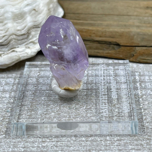 Amethyst Scepter (Enhydro) - Vera Cruz, Mexico specimen