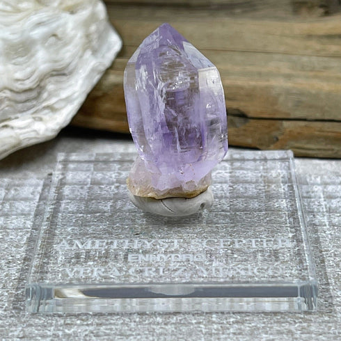 Amethyst Scepter (Enhydro) - Vera Cruz, Mexico specimen