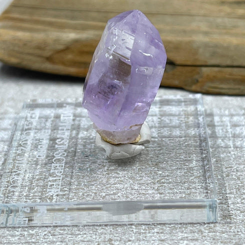 Amethyst Scepter (Enhydro) - Vera Cruz, Mexico specimen