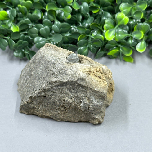 Herkimer Diamond in Matrix specimen