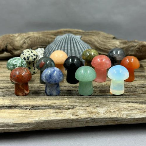 Mini Mushrooms Carvings specimen