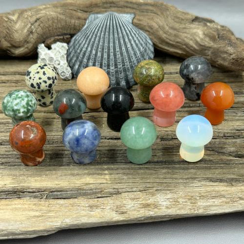 Mini Mushrooms Carvings specimen