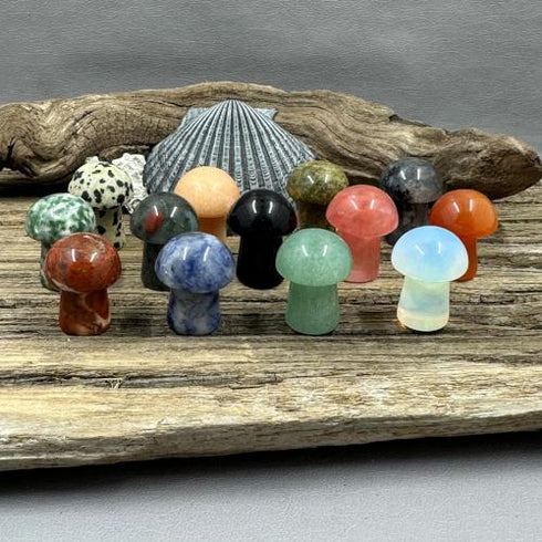 Mini Mushrooms Carvings specimen