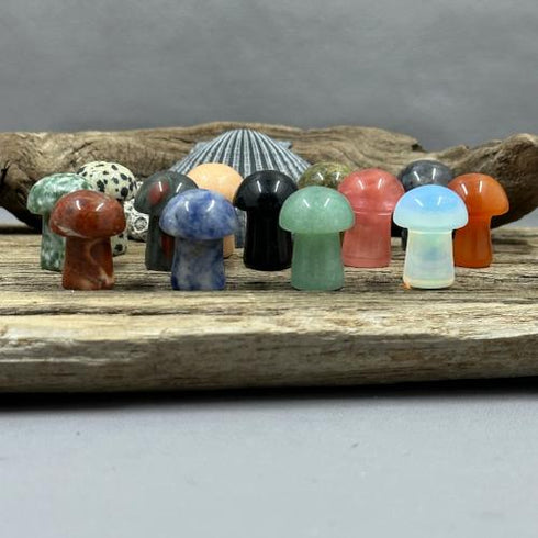 Mini Mushrooms Carvings specimen