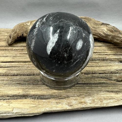 Orthoceras Sphere specimen