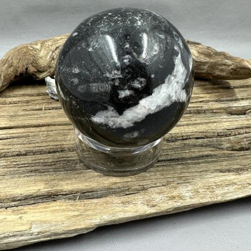 Orthoceras Sphere specimen