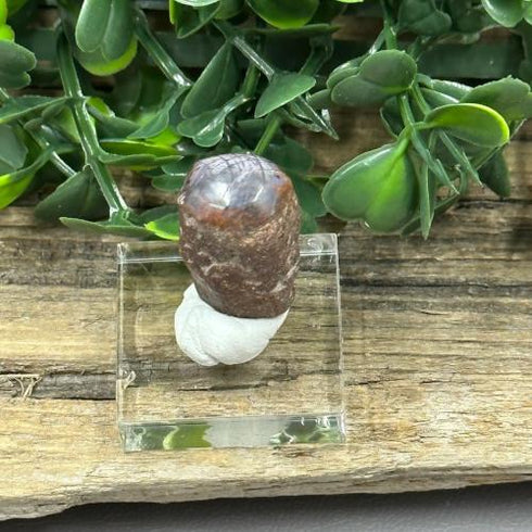 Raw Corundum Star Ruby Crystal specimen