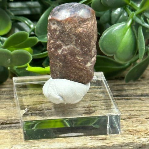 Raw Corundum Star Ruby Crystal specimen