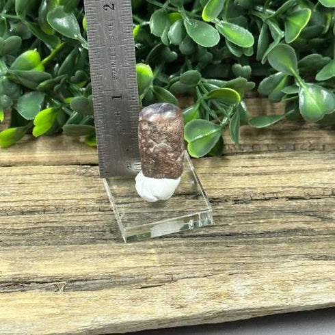 Raw Corundum Star Ruby Crystal specimen