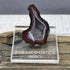 Tabasco Geode Specimen specimen