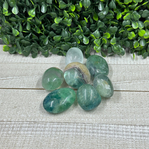 Tumbled Green Fluorite specimen