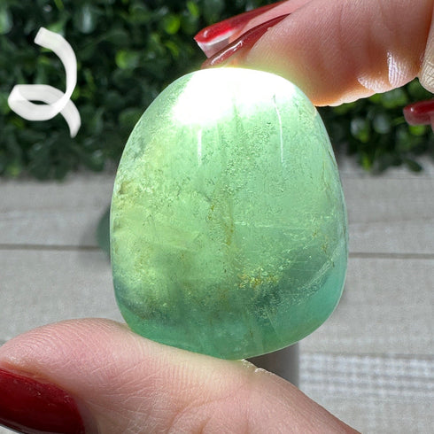 Tumbled Green Fluorite specimen