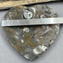 Ammonite and Fossils Heart Plate specimens