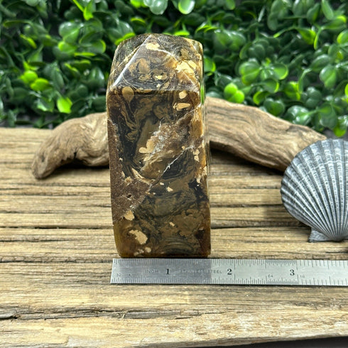 Sumatran Amber Tower specimens
