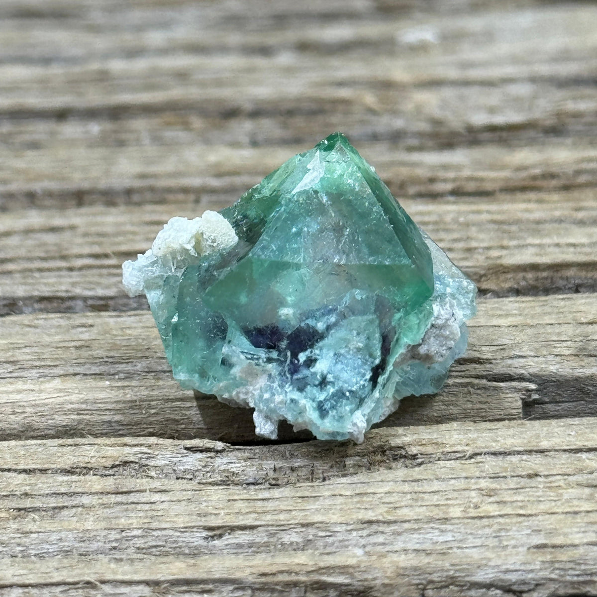 Fluorite Yindu Mine Mongolia #2 2.2cm | Green Purple UV Fluorescent ...