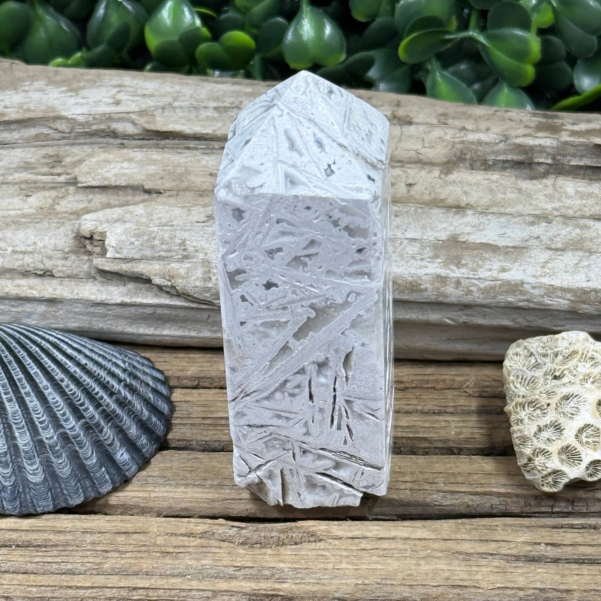 Crazy Lace Agate Crystal Tower | White Grey Banded Druzy Mineral Specimen